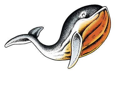 Chocolaterie La Baleine à Cabosse