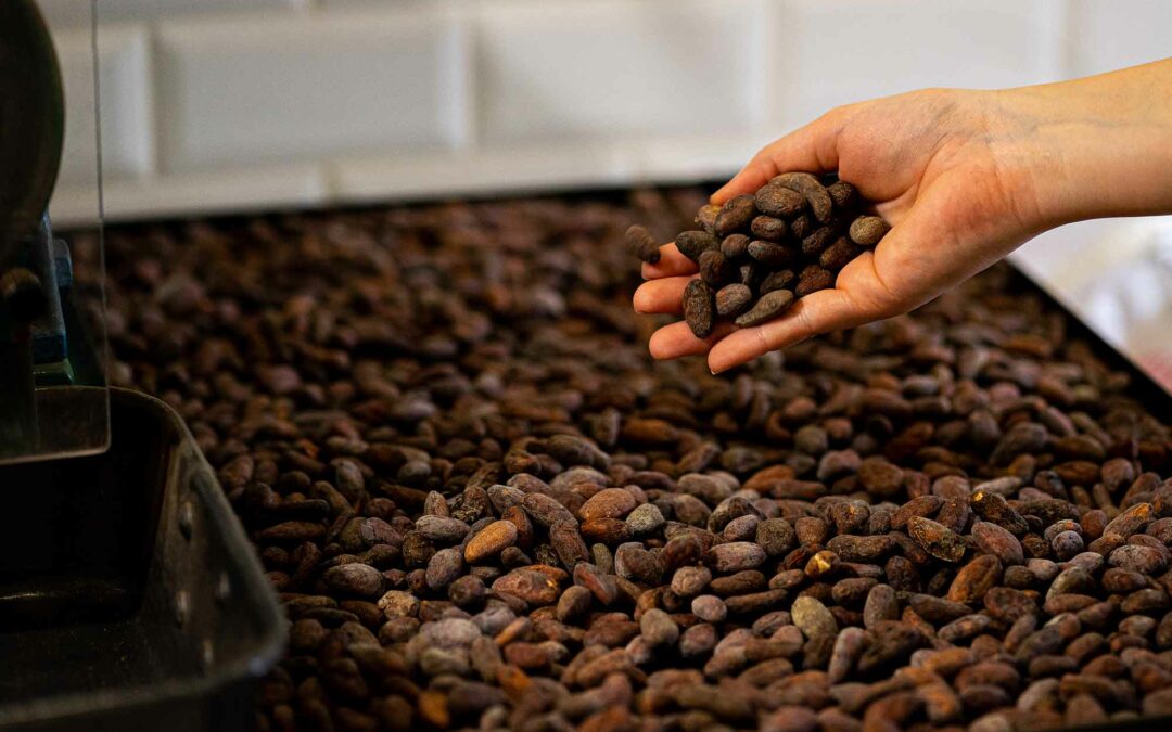 Chocolat bean-to-bar, qu’est-ce que c’est ?