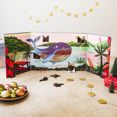 Calendrier de l'Avent chocolat noir 2026 bean-to-bar ouvert - La Baleine à cabosse